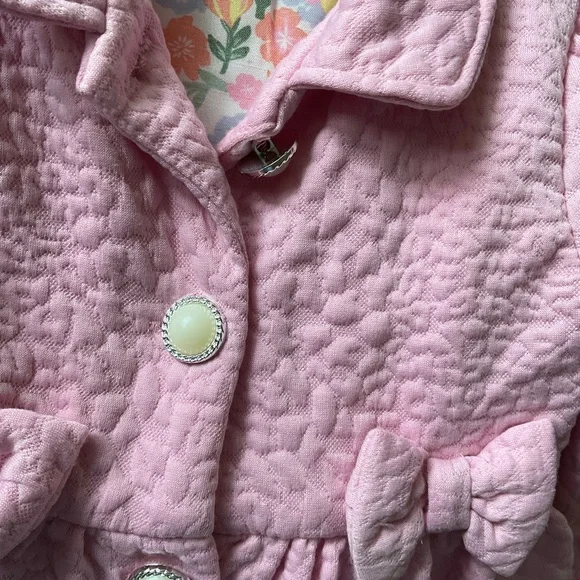 NWT Little Lass 3-Piece Set - Quilted Coat, Satin Floral Dress & Handbag 2T - Picture 12 of 14